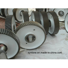 Hot Forging Transmission Spur Gear